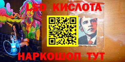 гашик Кинель