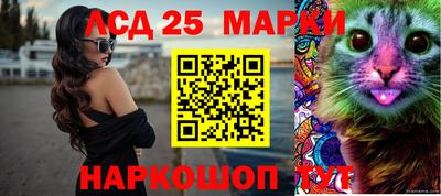 гашик Кинель