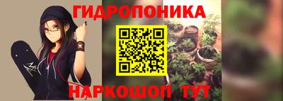 гашик Кинель