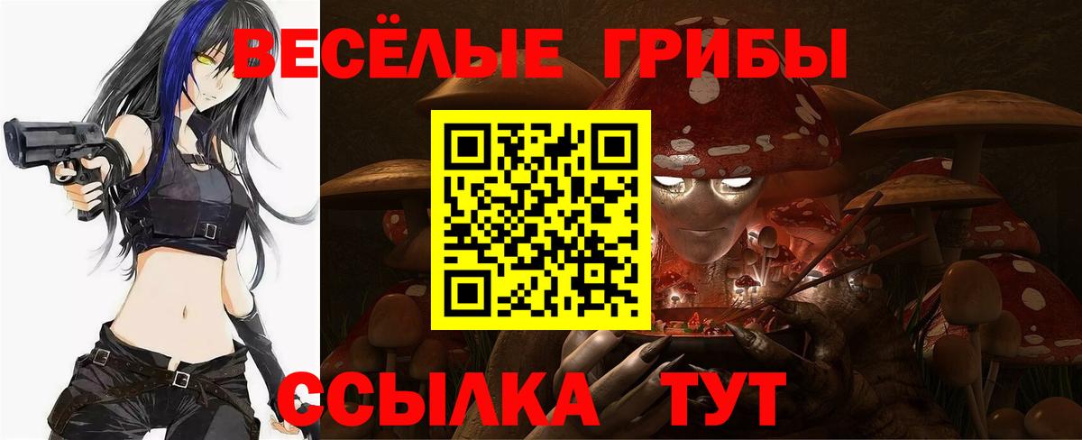 Галлюциногенные грибы мицелий  Вход с VPN  Усть-Джегута 